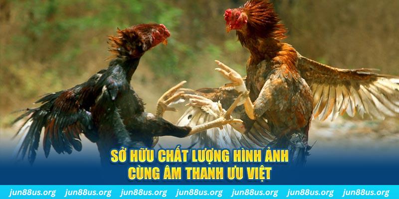 dongtamlongan casino Trực tuyến